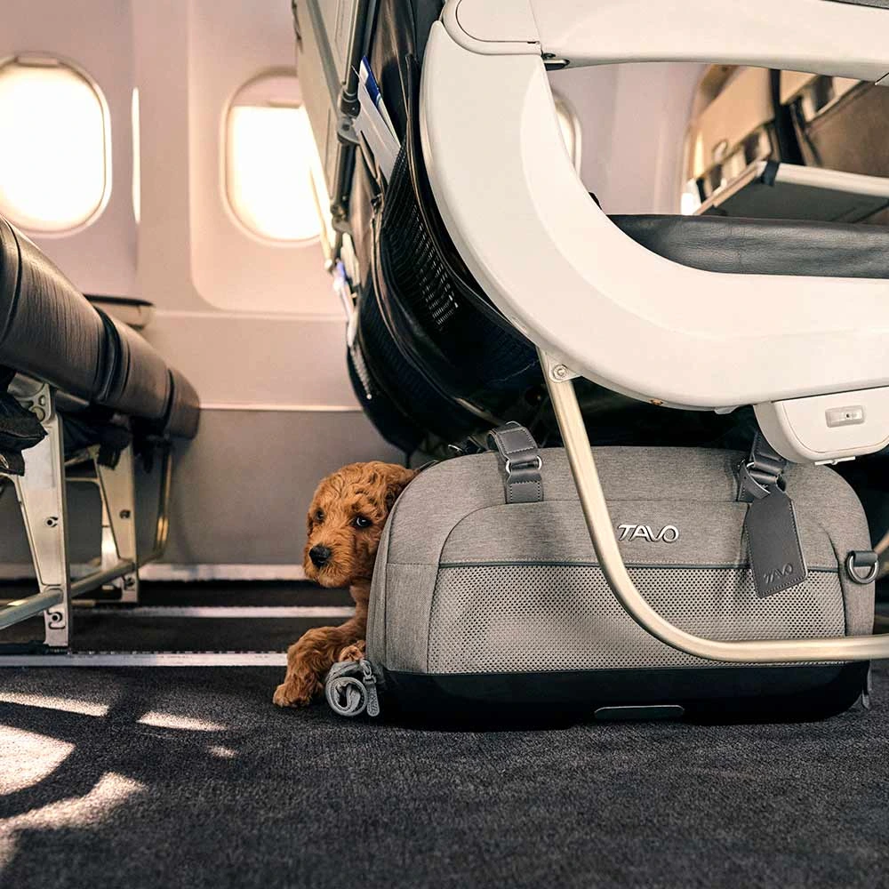 TAVO Dupree II Merle - Airline Carry-On og Autostol til Hunde og Katte
